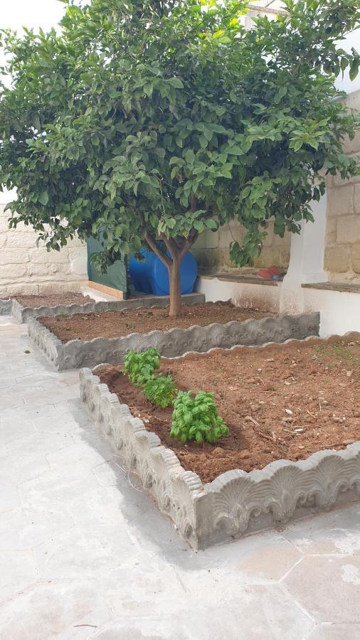 הוילה טורה דל'אורסו Casa Bro מראה חיצוני תמונה